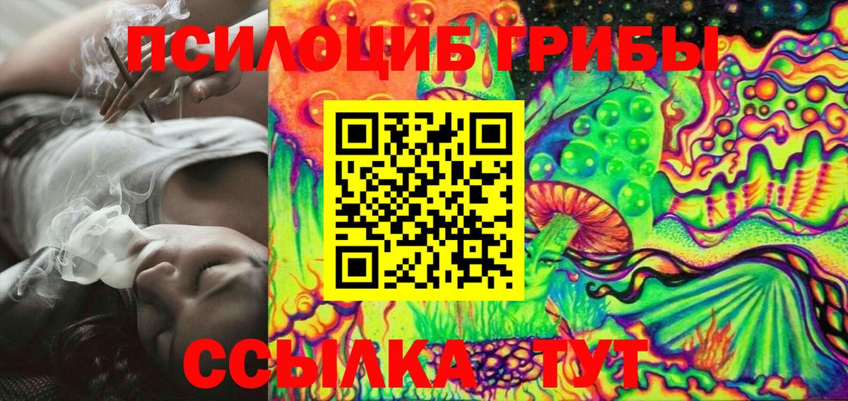 Будённовск  Псилоцибиновые грибы Cubensis  Вход с VPN 