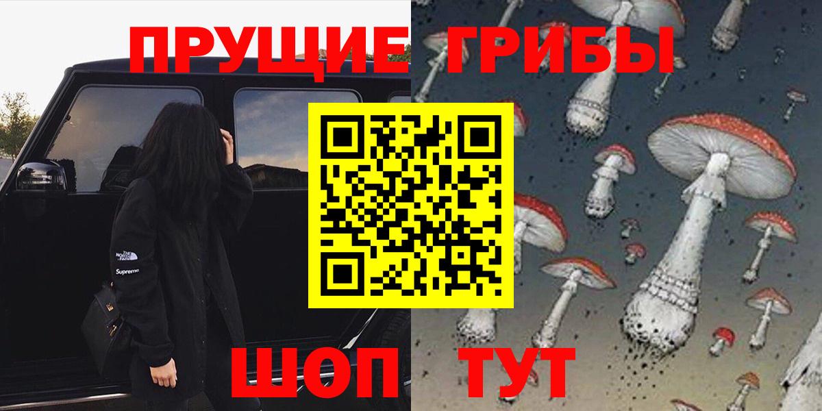 Галлюциногенные грибы прущие грибы Будённовск