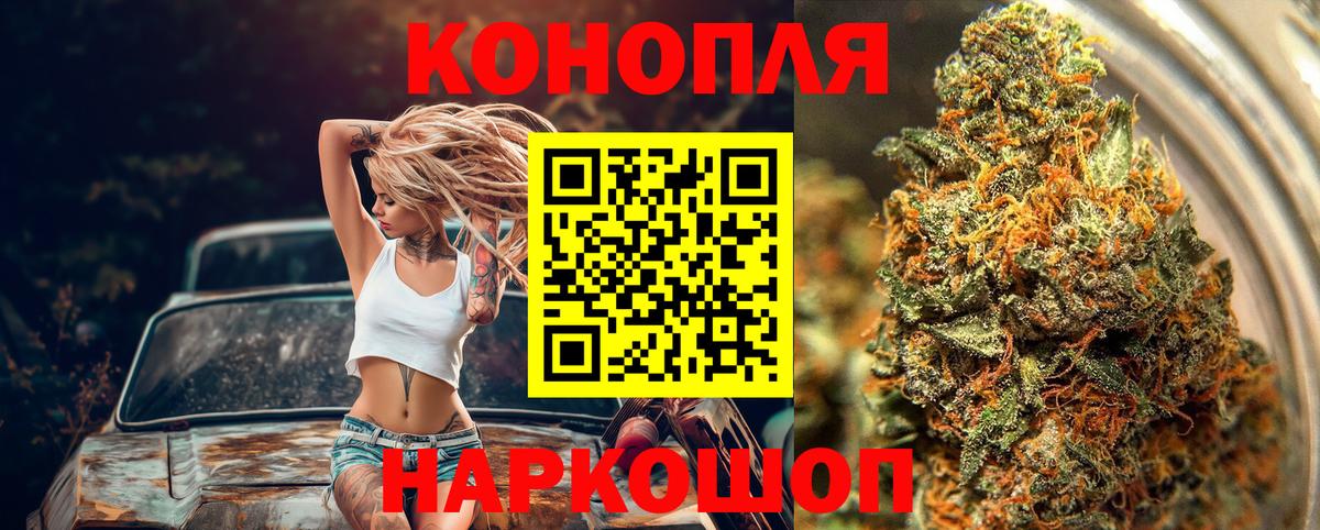 Бошки марихуана ГИДРОПОН Будённовск
